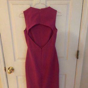 Dress the Population Pink XXS dress